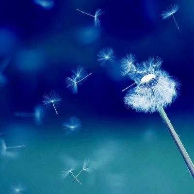 乐鱼官网手机版app下载截图