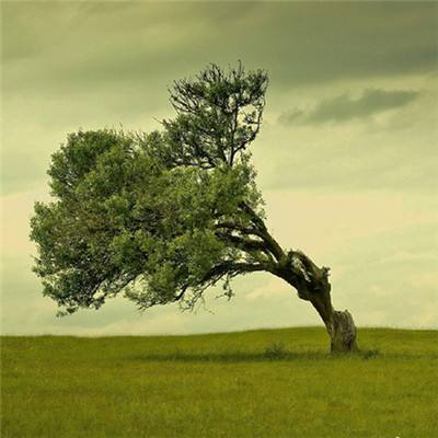 金沙集团1862成色截图