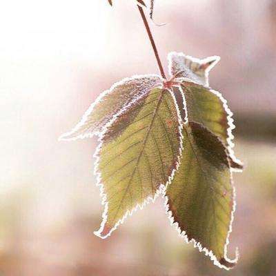 注册就送38的平台下载手机版